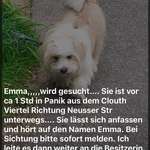 Suchmeldung-Emma-Bild