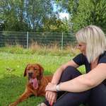 Ersteller:in Laura Profilbild