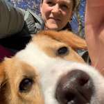 Ersteller:in Stephy Profilbild