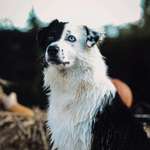 Ersteller:in Cetta Profilbild