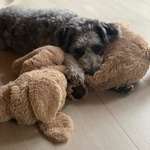 Ersteller:in Anne Profilbild