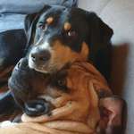 Ersteller:in Kathi Profilbild