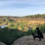 Ersteller:in Theresa Profilbild