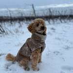 Ersteller:in Thomas Profilbild