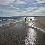 Ersteller:in Stephanie Profilbild