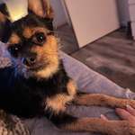 Ersteller:in Mina Profilbild