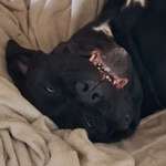 Ersteller:in Sebastian Profilbild