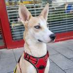 Ersteller:in Debby Profilbild