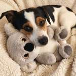 Ersteller:in Emila Profilbild