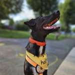 Ersteller:in alexa Profilbild