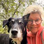 Ersteller:in Sylvie Profilbild