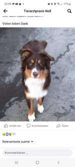 Suchmeldung-Cyril-Bild