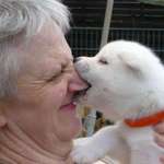 Ersteller:in CrazyWildThings Profilbild