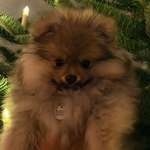 Ersteller:in may Profilbild