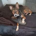 Ersteller:in Jo Profilbild