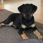 Ersteller:in Nicole Profilbild