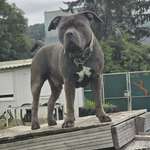 Ersteller:in Selma Profilbild