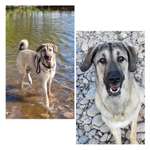 Ersteller:in Vanessa Profilbild