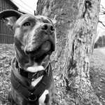 Ersteller:in Penelope Profilbild