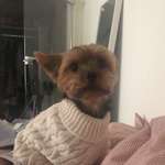 Ersteller:in Julia Profilbild