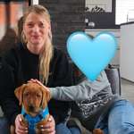 Ersteller:in Kira Profilbild