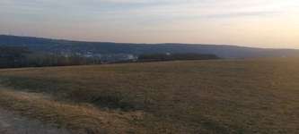 Hundeauslaufgebiet-Flugplatz Schenkenturm-Bild