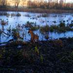 Ersteller:in Jacqueline Profilbild