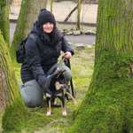 Ersteller:in Noyn Profilbild