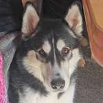 Ersteller:in Sandra Profilbild