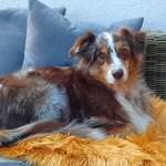 Ersteller:in Insa Profilbild