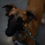 Ersteller:in Sarah Profilbild