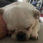 Ersteller:in Kristine Profilbild