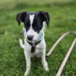 Ersteller:in Tati Profilbild