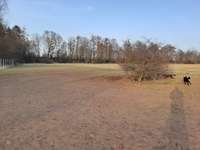 Hundeauslaufgebiet-Wölfersheim-Bild