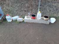 Hundeauslaufgebiet-Wölfersheim-Bild