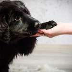 Ersteller:in Claudia Profilbild