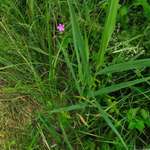 Ersteller:in Vivien Profilbild