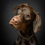 Ersteller:in Christian Profilbild