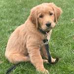 Ersteller:in Marina Profilbild