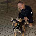 Ersteller:in Jänuu Profilbild