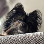 Ersteller:in Mandy Profilbild