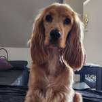 Ersteller:in Bettina Profilbild