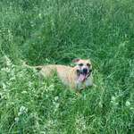 Ersteller:in Büsra Profilbild