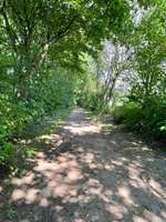 Hundeauslaufgebiet-Kiessee Marienhafe-Bild