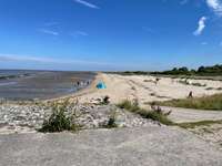 Hundeauslaufgebiet-Emden Strand-Bild