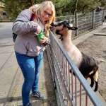 Ersteller:in Michi Profilbild