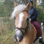 Ersteller:in Lisa Profilbild