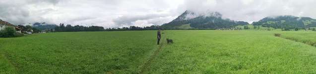 Hundeauslaufgebiet-Berghofen/Winkel-Bild