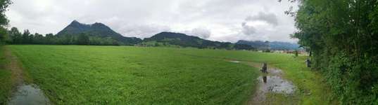 Hundeauslaufgebiet-Berghofen/Winkel-Bild