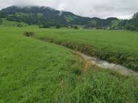 Hundeauslaufgebiet-Berghofen/Winkel-Bild